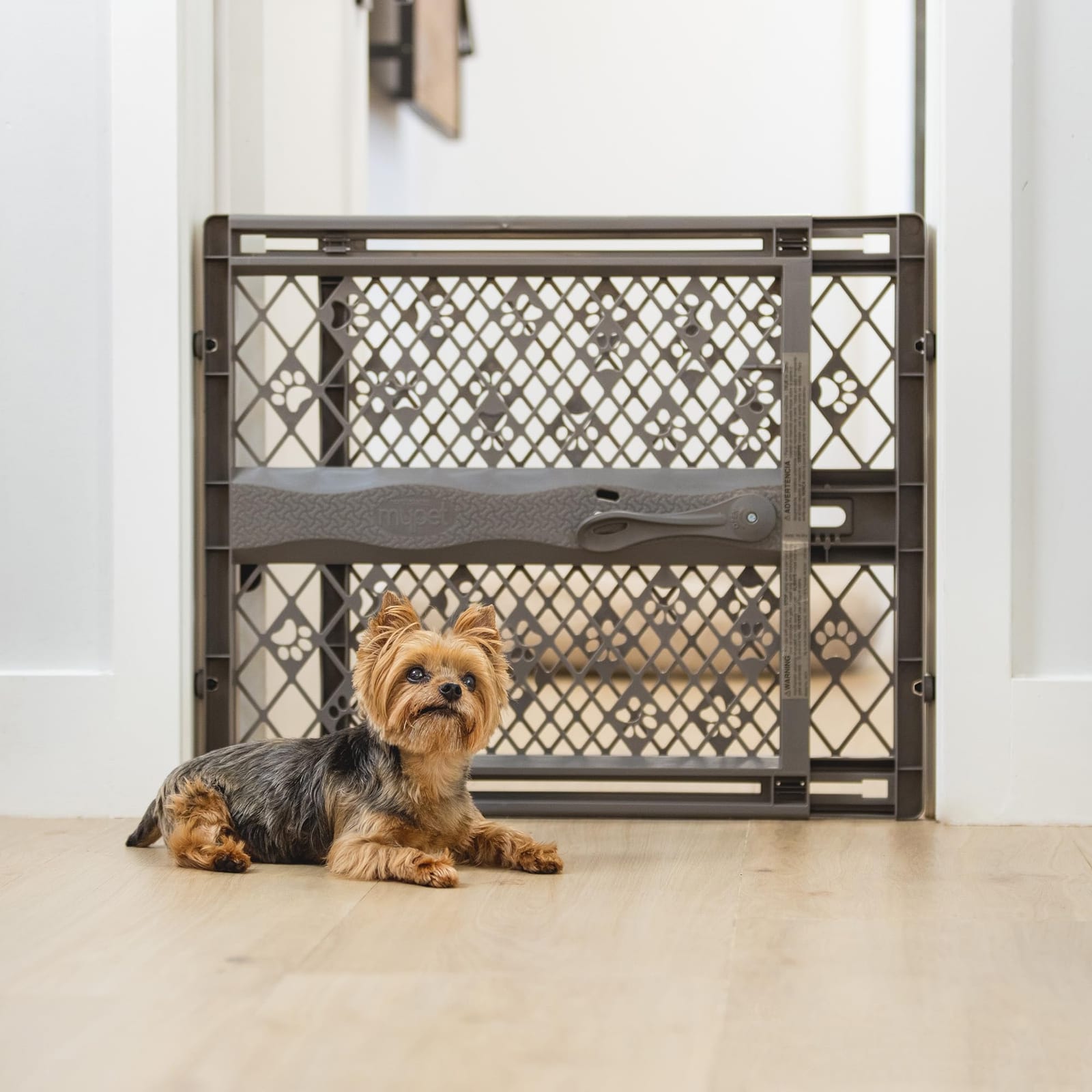 MYPET Paws Portable Pet Gate: